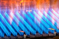 Hampnett gas fired boilers